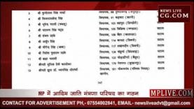 मुख्यमंत्री की अध्यक्षता में आदिम जाति मंत्रणा परिषद का गठन।