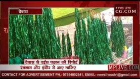 देवास में मोहर्रम की धूम, आकर्षण का केंद्र बने ताजिए