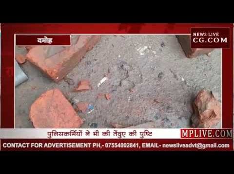 दमोह में रहवासी क्षेत्र में दिखा तेंदुआ