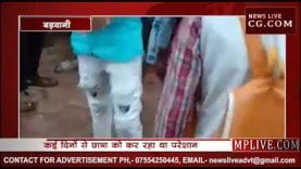 बड़वानी में मजनू की सरेआम धुनाई, देखे वीडियो