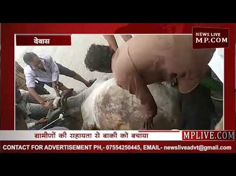 कालीसिंध नदी पुलिया पर हादसा