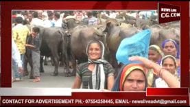 नर्मदा बचाओ आंदोलन और जागृत दलित आदिवासी संगठन ने निकाली रैली