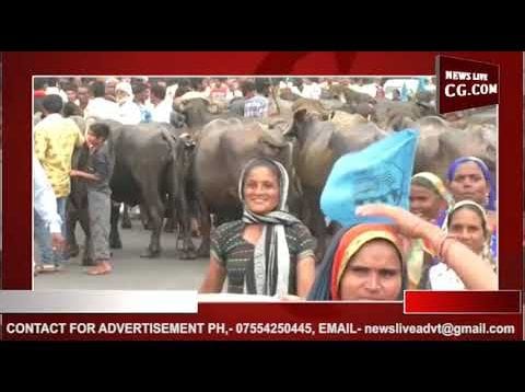 नर्मदा बचाओ आंदोलन और जागृत दलित आदिवासी संगठन ने निकाली रैली