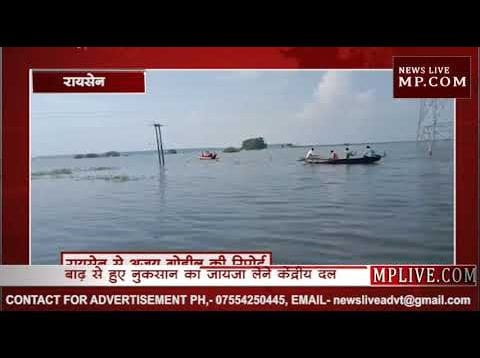 बाढ़ से हुए नुकसान का जायजा लेने केंद्रीय दल