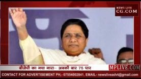 हरियाणा- बीजेपी की जीत की राह रोकेगा मायावती का हाथी!