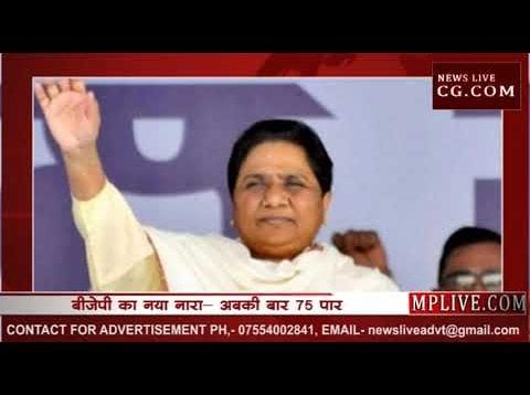 हरियाणा- बीजेपी की जीत की राह रोकेगा मायावती का हाथी!