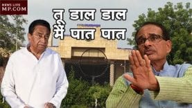 तू डाल डाल- मैं पात पात