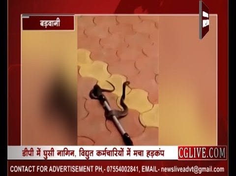 सांप के कारण बड़वानी का विद्युत प्रदाय बंद