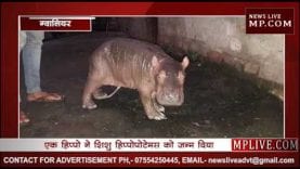 ग्वालियर के गांधी प्राणी उद्यान में रात आया नया मेहमान