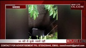 40 फीट गहरे कुएं में गिरी एक युवती
