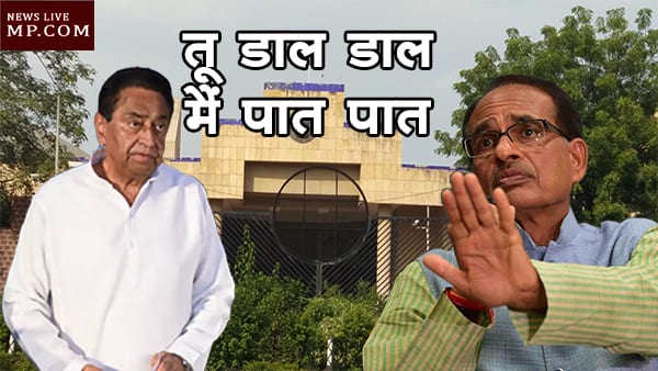 daal paat