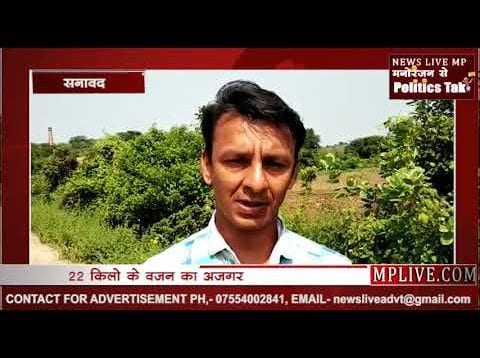 चारुकेश्वर आश्रम में 13 फीट लंबा अजगर निकला