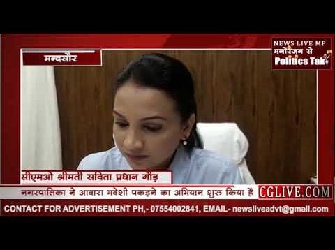 नगरपालिका ने आवारा मवेशी पकड़ने का अभियान शुरू किया है