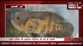 मछली पर लिखा अल्लाह का नाम, इतनी कीमत में बिकने को तैयार