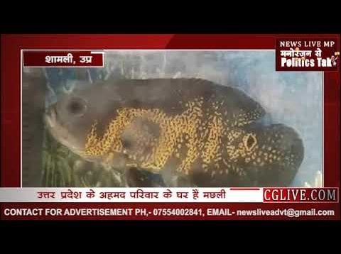 मछली पर लिखा अल्लाह का नाम, इतनी कीमत में बिकने को तैयार
