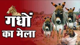 WhatsApp Image 2019-10-31 at 3.42.49 PM