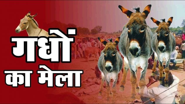 WhatsApp Image 2019-10-31 at 3.42.49 PM