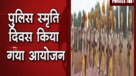 pulice 4444444444444444444444