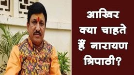 जीतू पटवारी से मिले बीजेपी विधायक नारायण त्रिपाठी