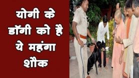 यूपी के सीएम योगी आदित्यनाथ का पालतू कुत्ता बना ‘इंटरनेट सेलिब्रिटी’, जानिए क्या है नाम