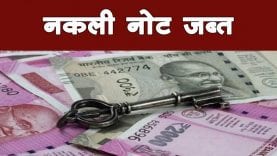 666666666666666666666666666