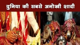 777777777777777777777