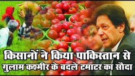 POK लौटाओ, सस्ते टमाटर पाओ, Madhyapradesh के किसानों का Pakistan को संदेश