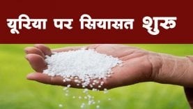 मध्य प्रदेश में यूरिया का संकट