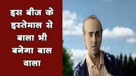 इस बीज के इस्तेमाल से ‘बाला’ भी बनेगा बाल वाला