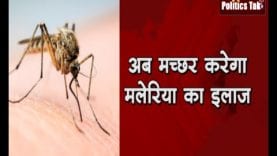 अब मच्छर करेगा मलेरिया का इलाज