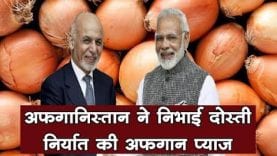अफगानिस्तान ने निभाई दोस्ती, निर्यात की अफगान प्याज