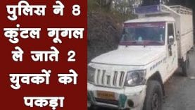 पुलिस ने 8 कुंटल गूगल ले जाते 2 युवकों को पकड़ा
