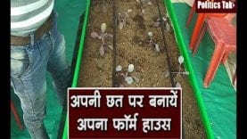 # healthexpo2.0 अपनी छत पर बनायें अपना फाॅर्म हाउस