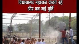 विद्यासागर महाराज देखते रहे, और बन गई मूर्ति