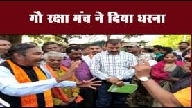 गौ रक्षा मंच ने दिया धरना