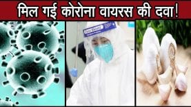 मिल गई कोरोना वायरस की दवा!