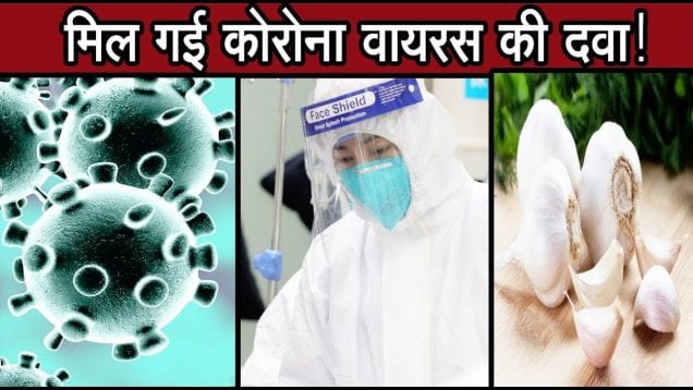 मिल गई कोरोना वायरस की दवा!