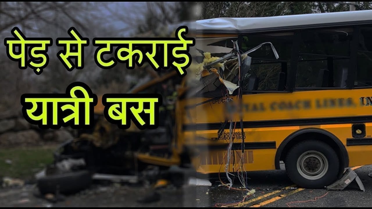 ड्राइवर चालक की लापरवाही से बस पेड़ से टकराई, 8 घायल