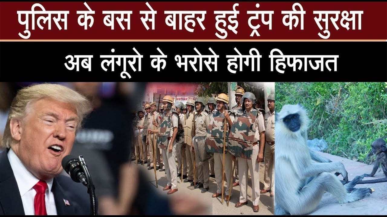 American president Donald Trump की सुरक्षा की जिम्मेदारी संभालेंगे लंगूर