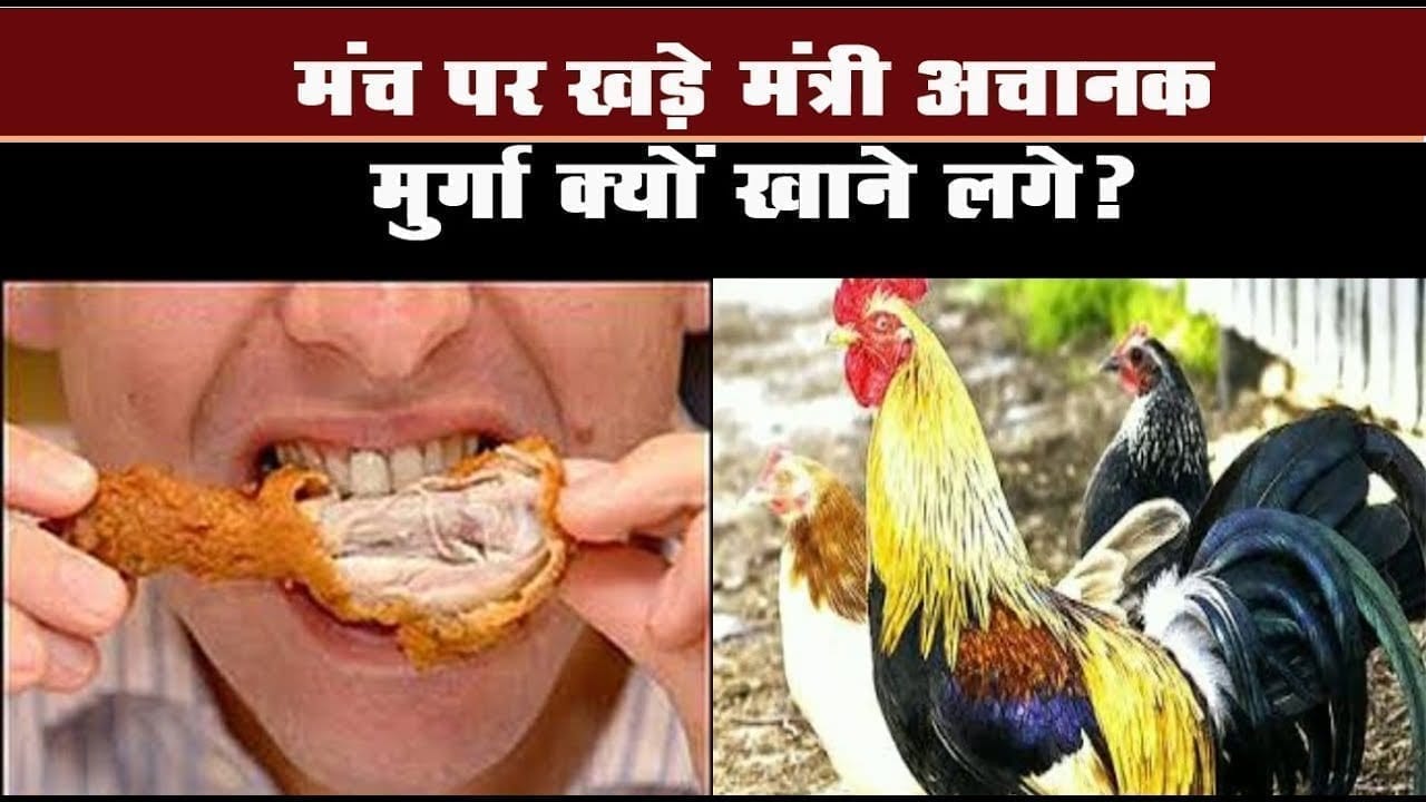 Hyderabad में मंत्रियों ने खुले मंच पर खाया मुर्गा. ये थी वजह