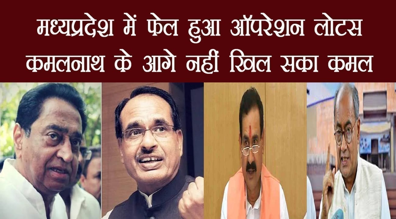 33333333333333333333