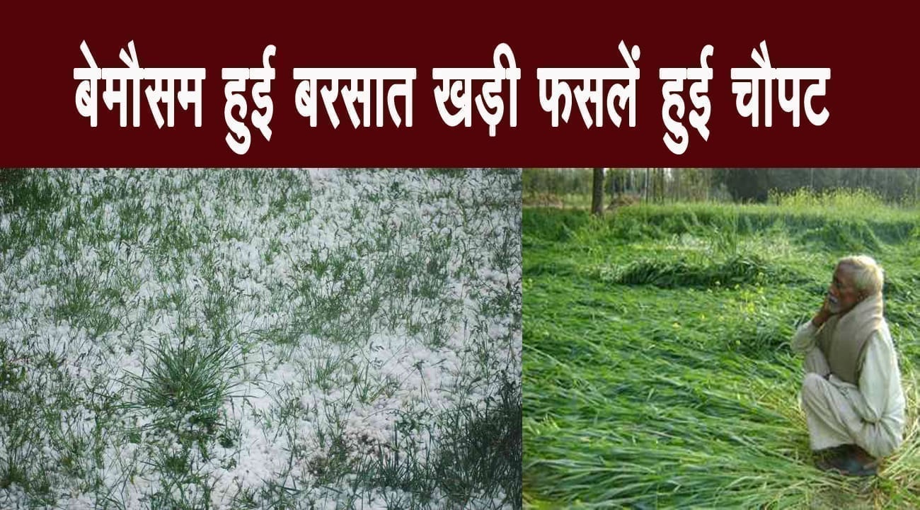 444444,,,,,,,,,,,,,,