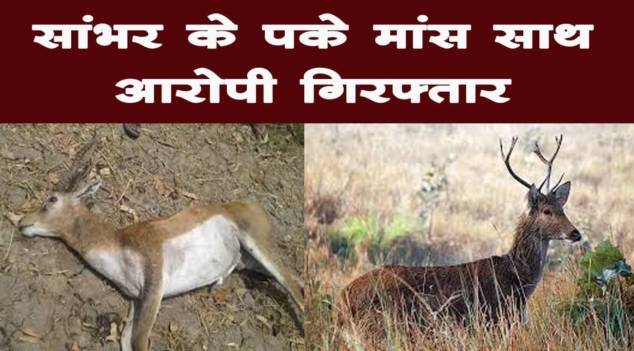 44444444444444444444