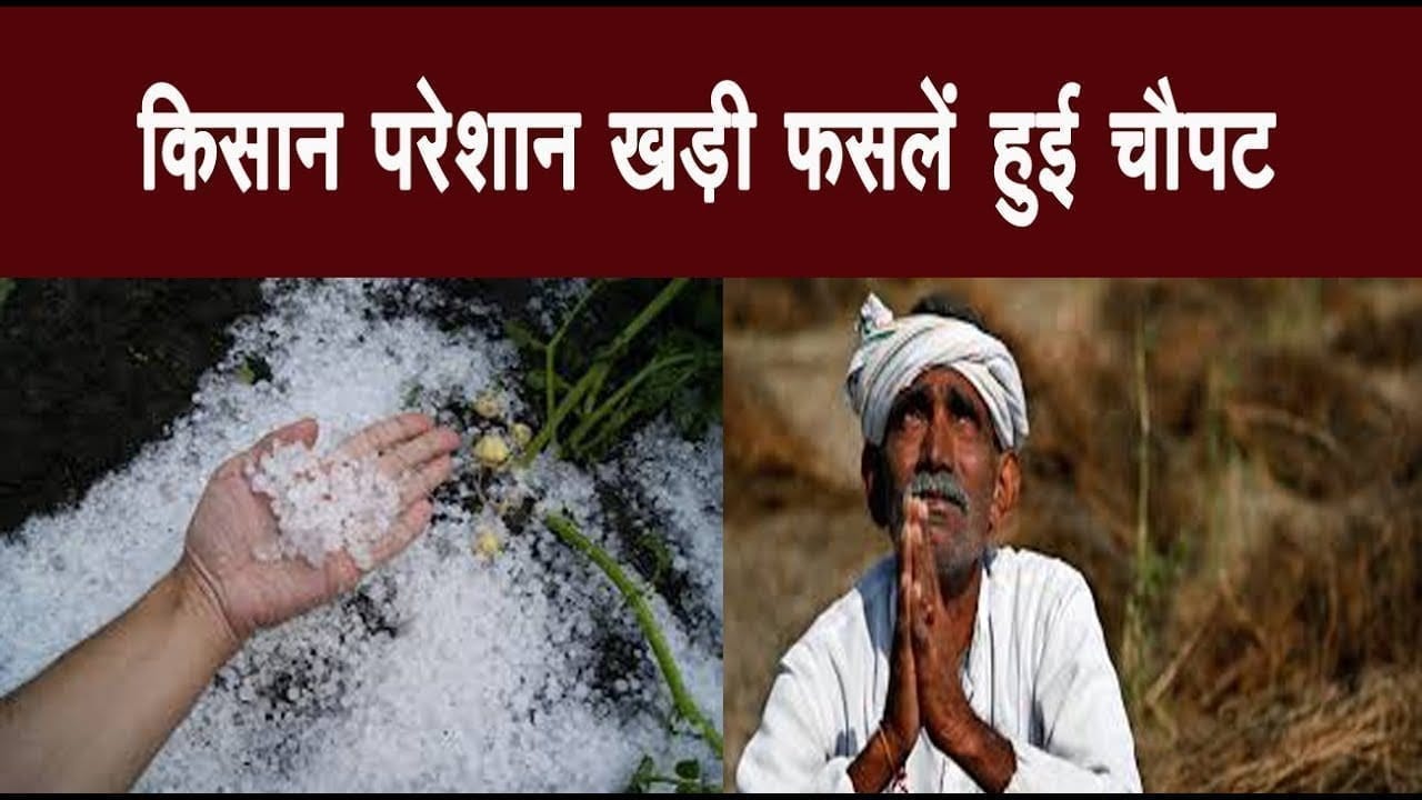 बेमौसम बारिश से किसान परेशान, खड़ी फसलें हुईं चौपट