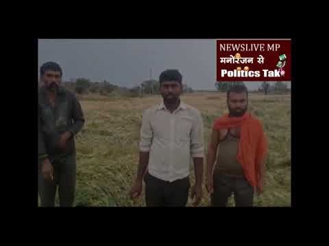 बेमौसम के चलते अमरवाड़ा क्षेत्र में गिरे ओले बड़ी संख्या में फसलें हुई नष्ट 