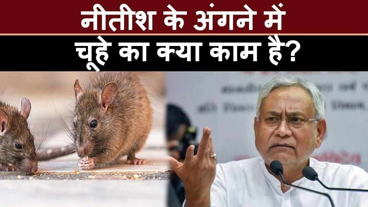 Bihar Vidhansabha के Budget session में आया चूहा. ये है वजह