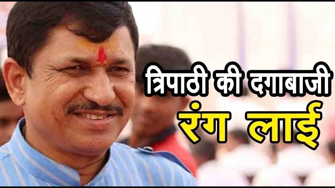 Narayan Tripathi क्या इसी दिन के लिए Kamalnath की जी हजुरी कर रहे थे