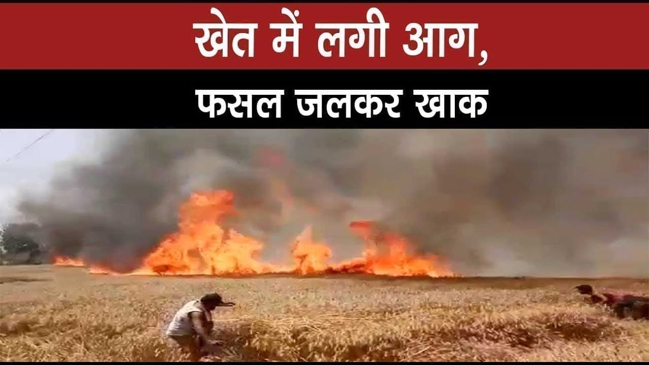 खेत में लगी आग, फसल जलकर खाक
