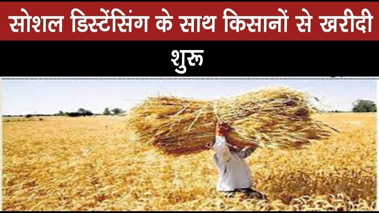 सोशल डिस्टेंसिंग के साथ किसानों से खरीदी शुरू