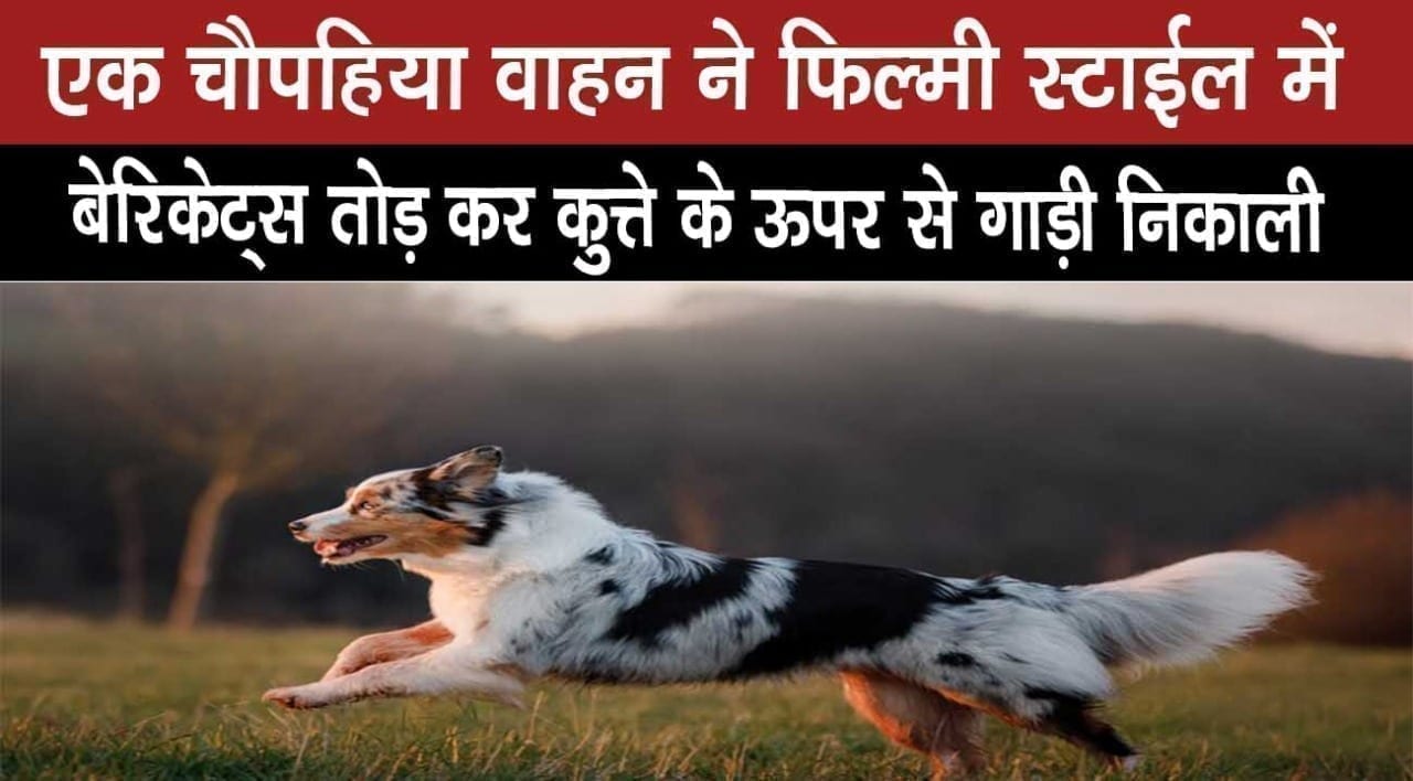 WhatsApp Image 2020-04-04 at 1.55.03 PM